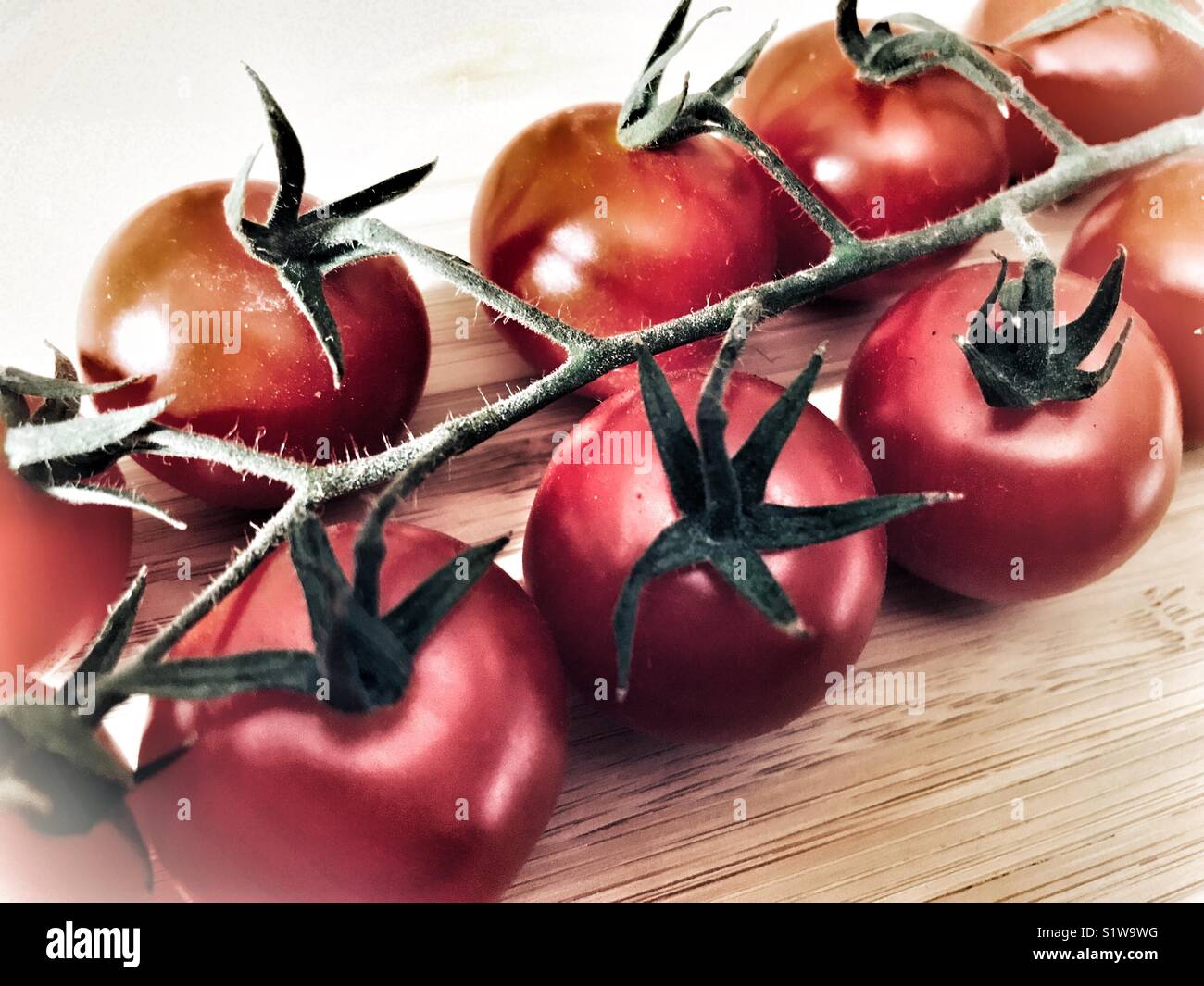 Cherry tomatoes - Smartphone Captured Stock Image