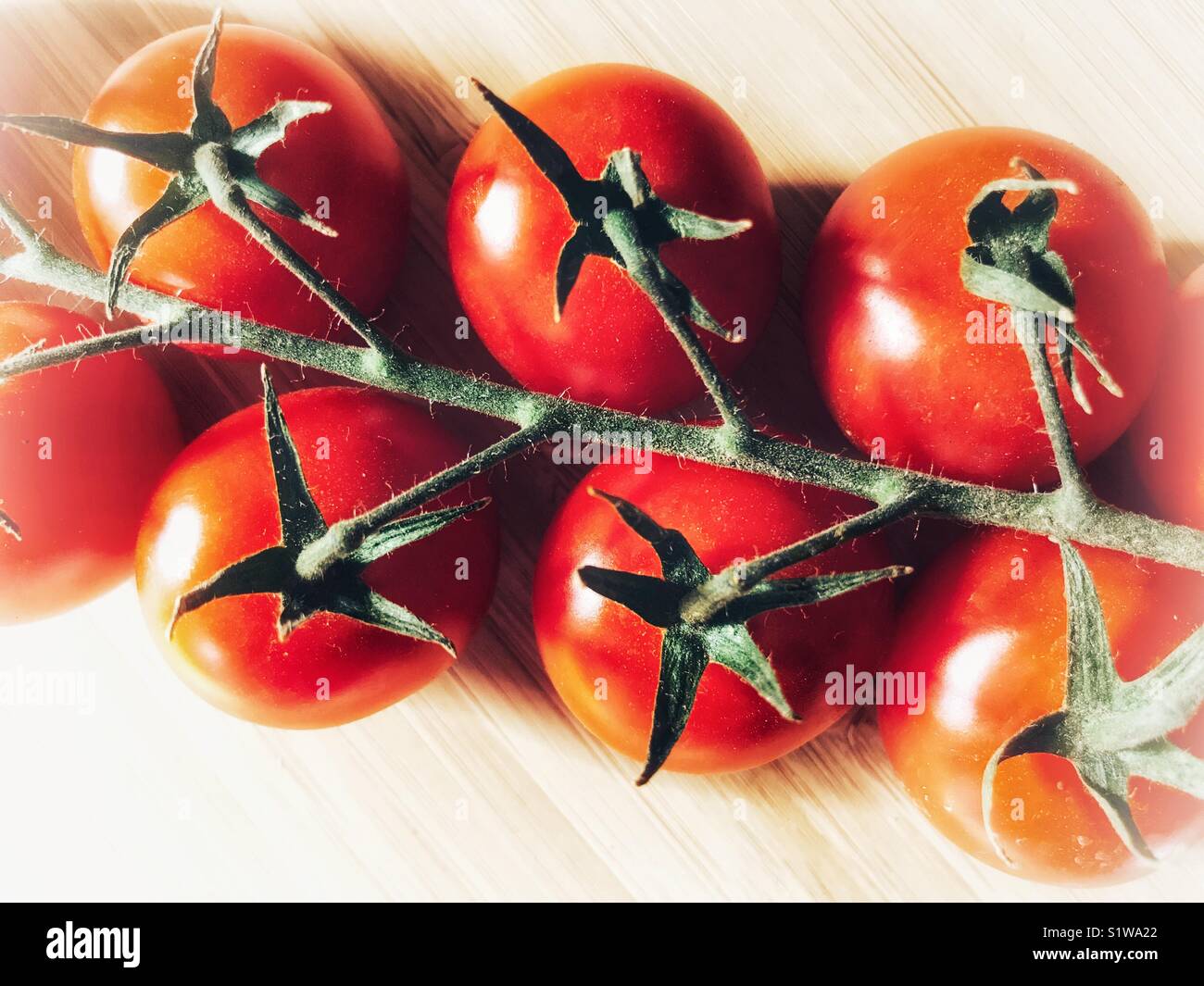Ripe, red tomatoes - Smartphone Captured Stock Image