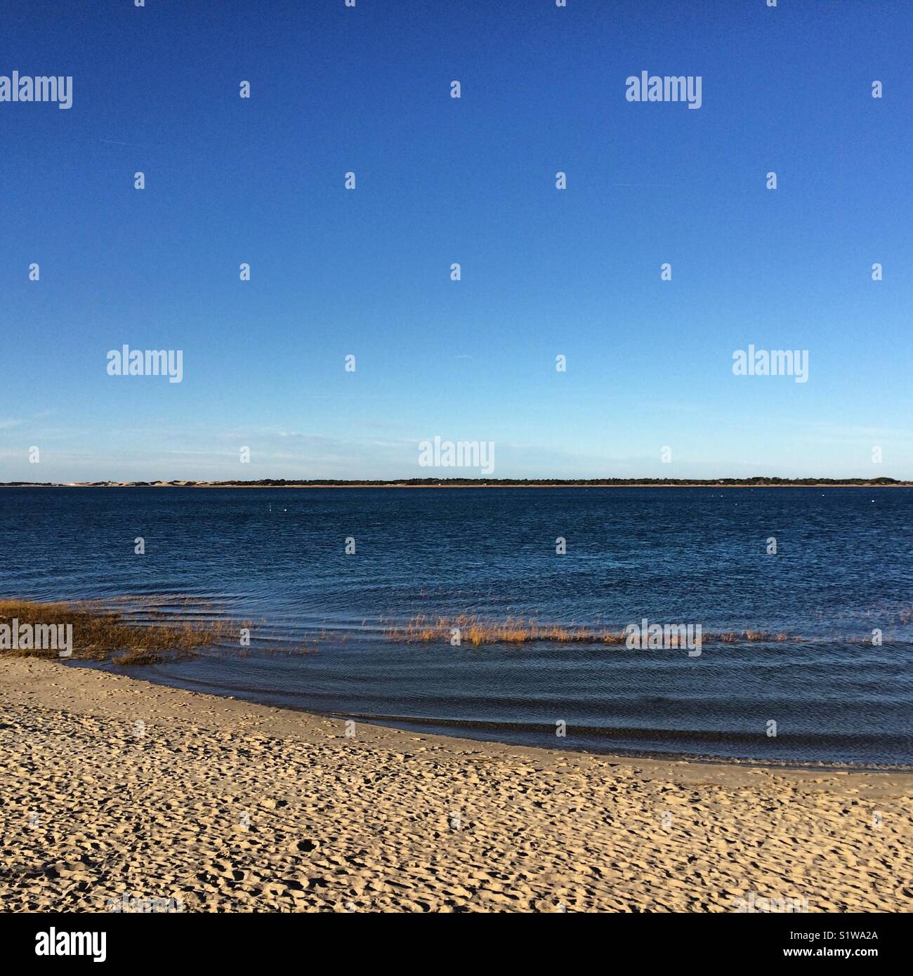 Beach, Cape Cod, Massachusetts - Smartphone Captured Stock Image