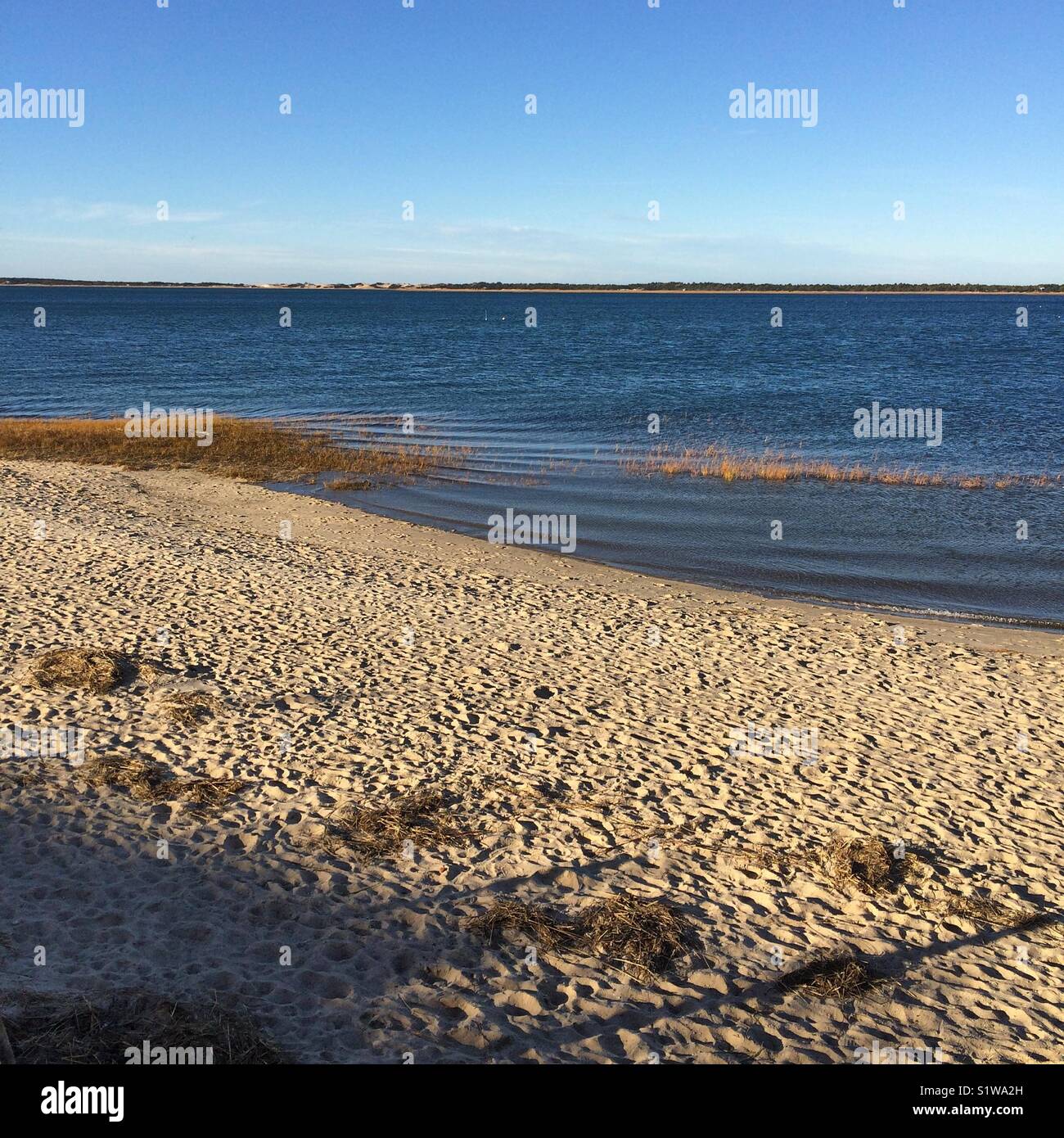 Beach, Cape Cod, Massachusetts - Smartphone Captured Stock Image