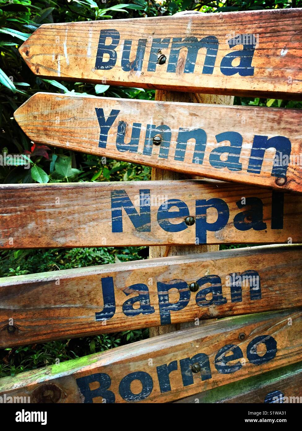 Signposts pointing to asian countries in the Pacific region - Smartphone Captured Stock Image