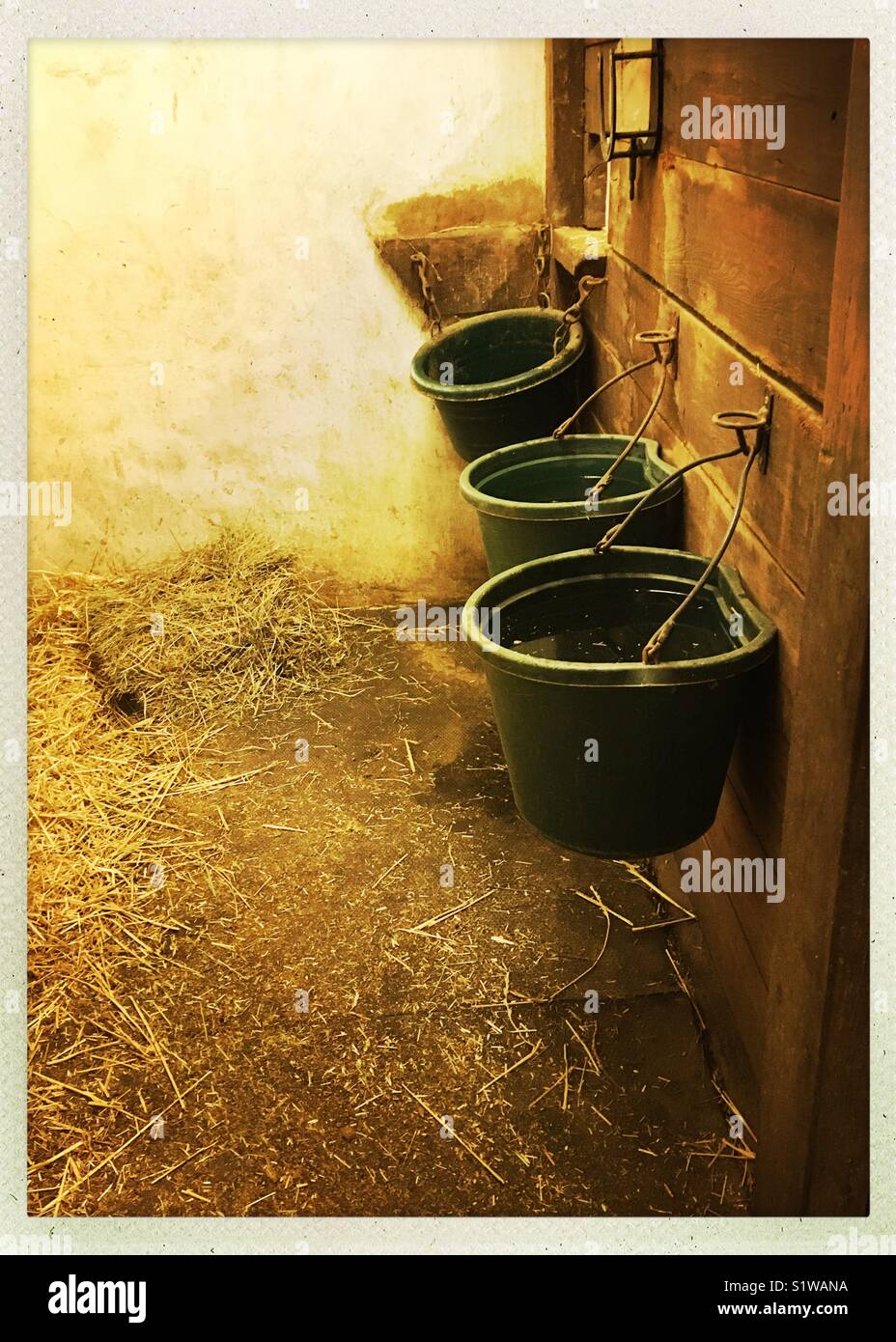 horse stall, feed buckets, green, hay, wood wall, lumber, adobe wall, water Stock Photo