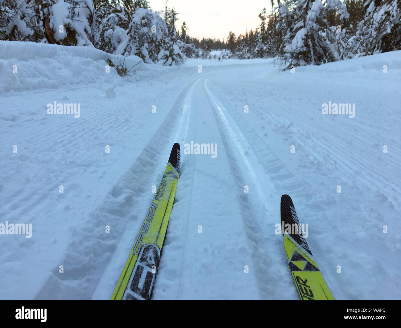 Cross-country skiing in Norway. Stock Photo
