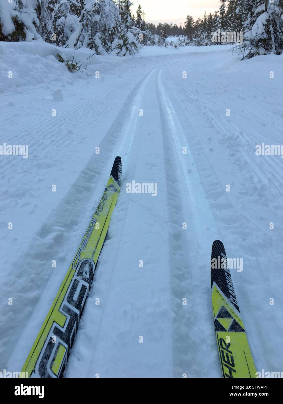 Cross-country skiing in Norway. Stock Photo