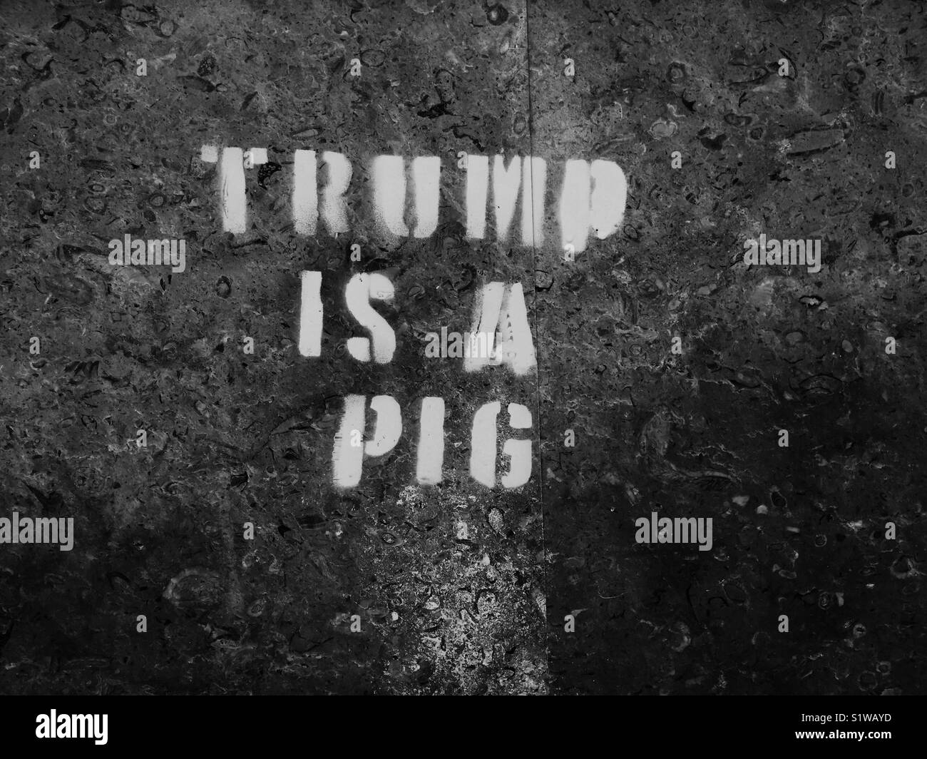 Trump is a pig stencil graffiti Stock Photo
