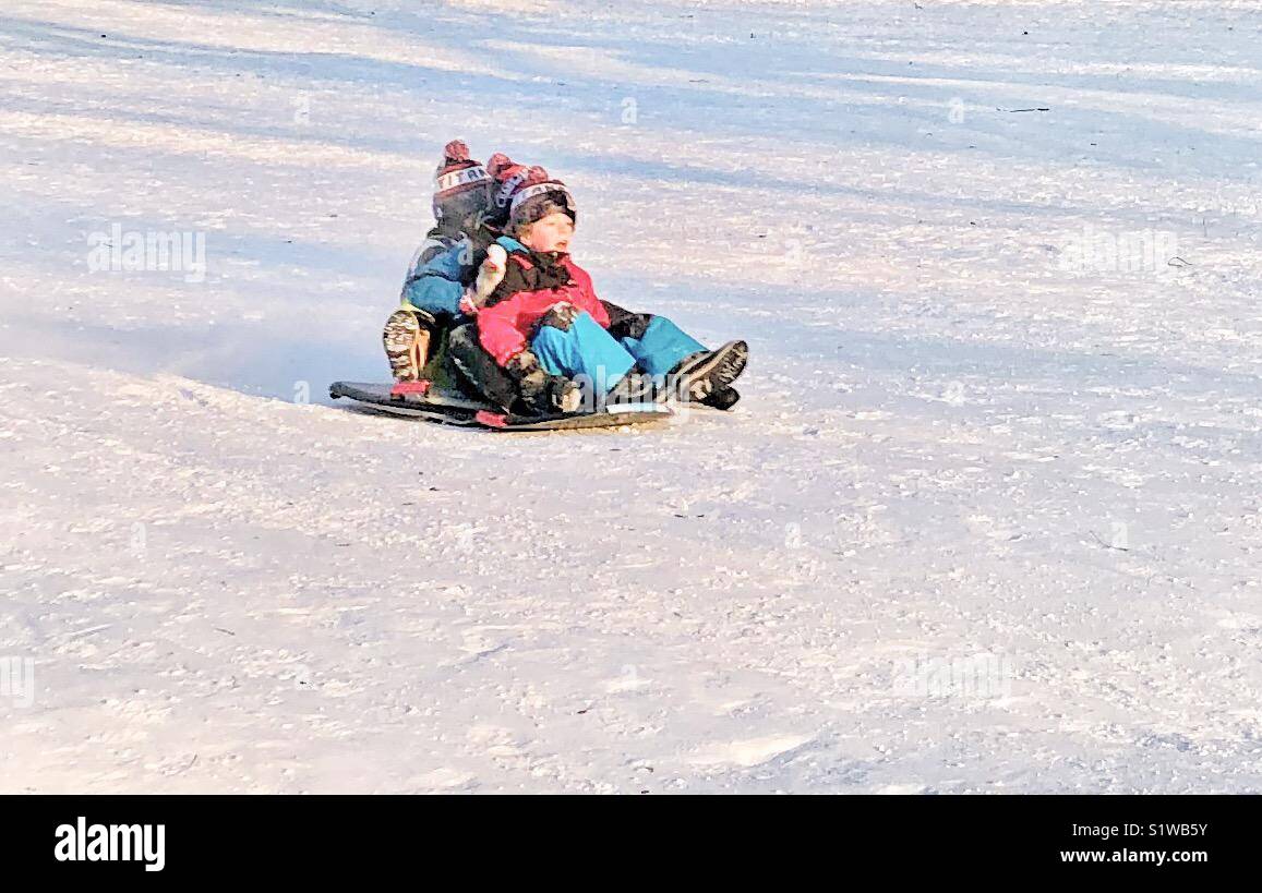 Children having fun tobogganing. - Smartphone Captured Stock Image