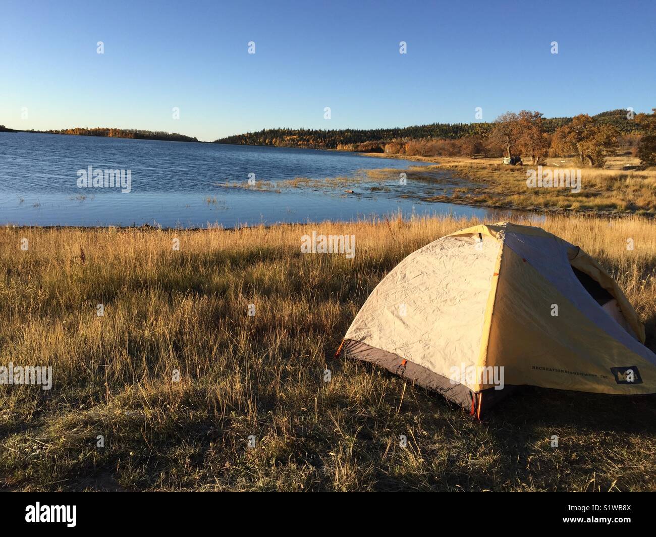 Camping or boondocking near Zion National Park, Utah, in October. - Smartphone Captured Stock Image