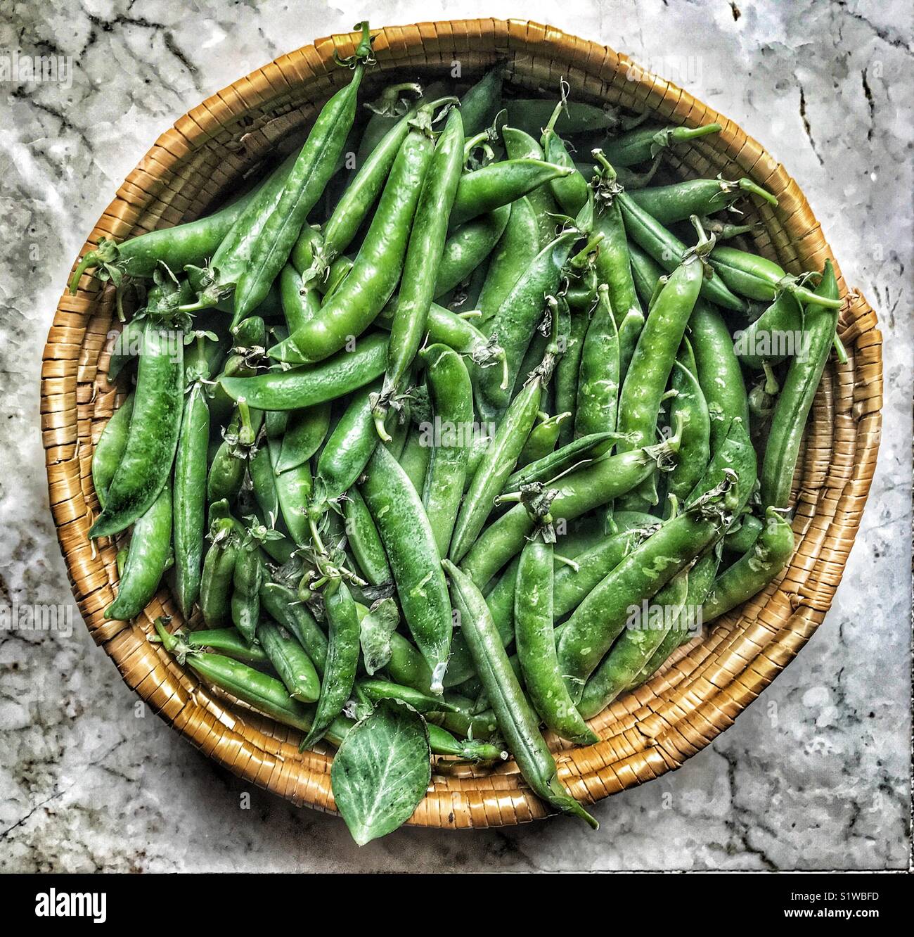 Basket full of freshly picked garden peas, high angle view - Smartphone Captured Stock Image