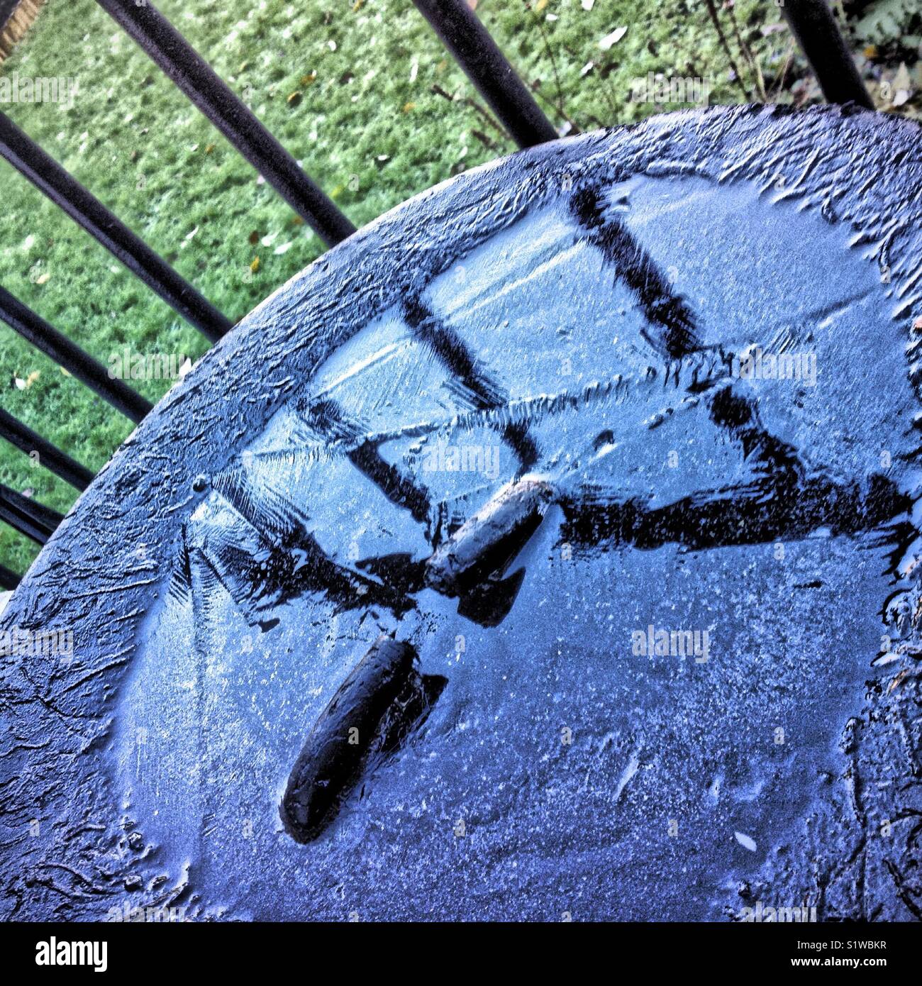 Ice on top of my neighbours dustbin - Smartphone Captured Stock Image