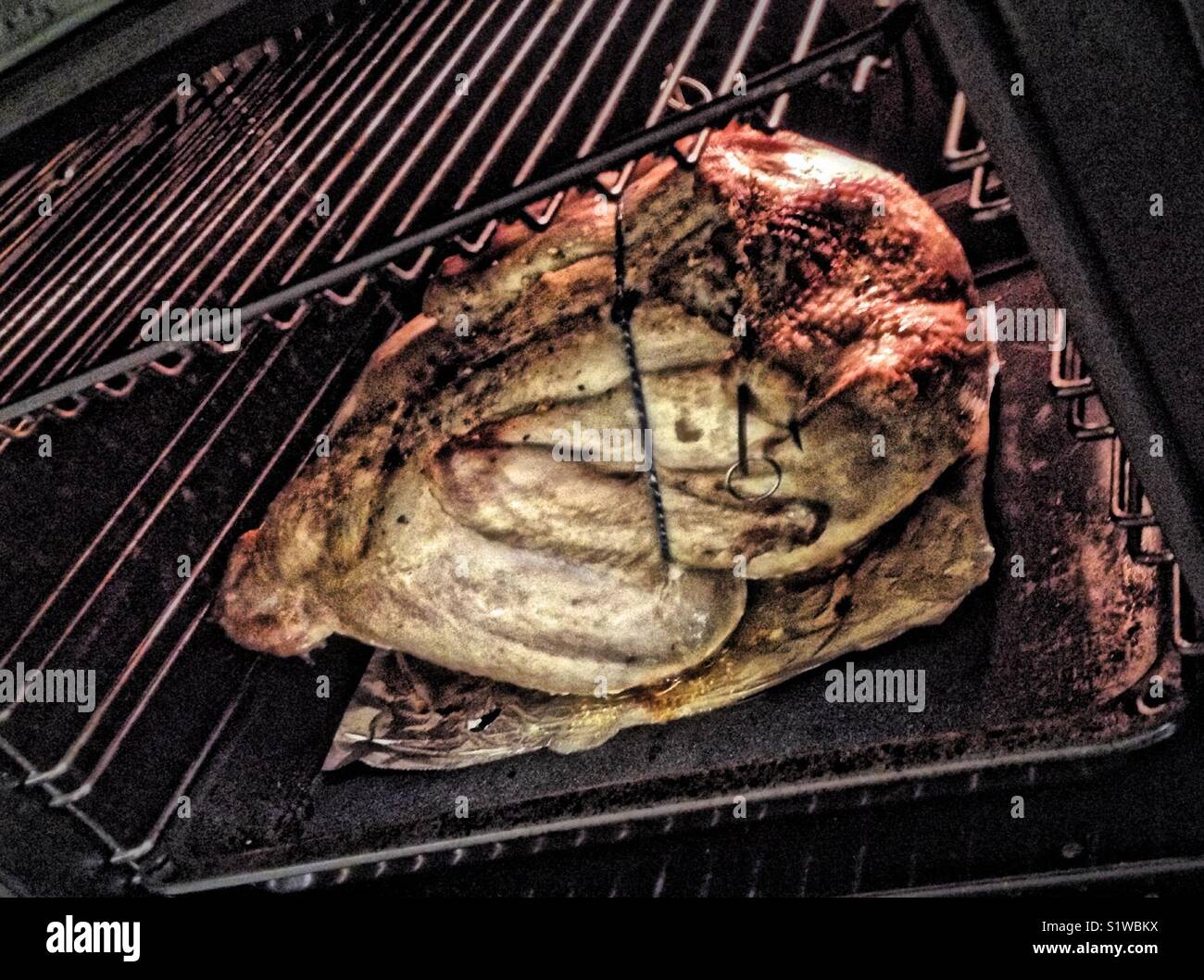 Christmas Turkey roasting in the Oven - Smartphone Captured Stock Image