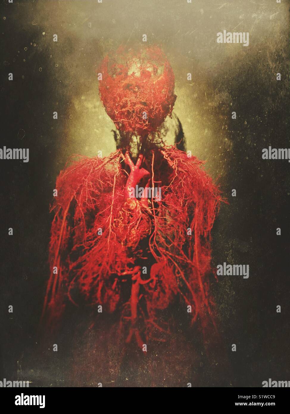 Vascular system. Real Bodies exposition - Smartphone Captured Stock Image