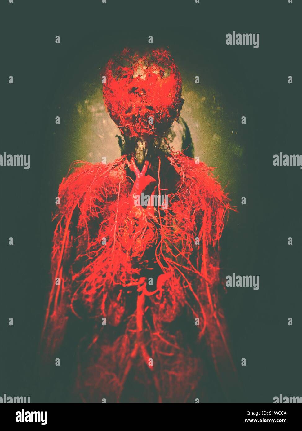 Vascular system. Real Bodies exposition - Smartphone Captured Stock Image