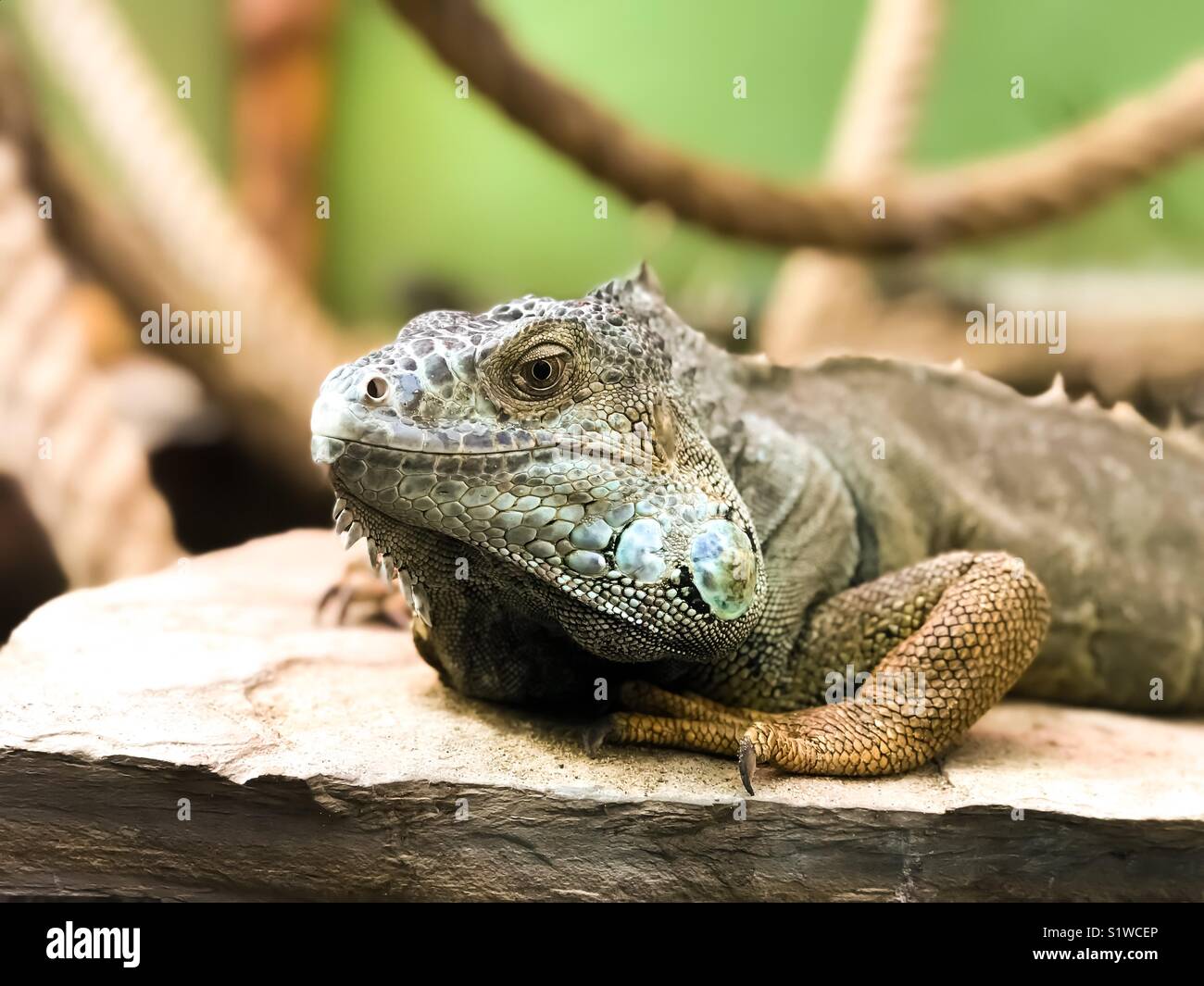 Hey there! Stock Photo