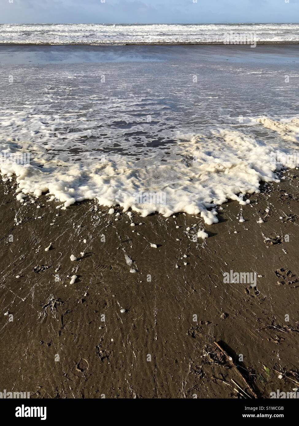 Sea foam, beach foam, ocean foam Stock Photo Alamy