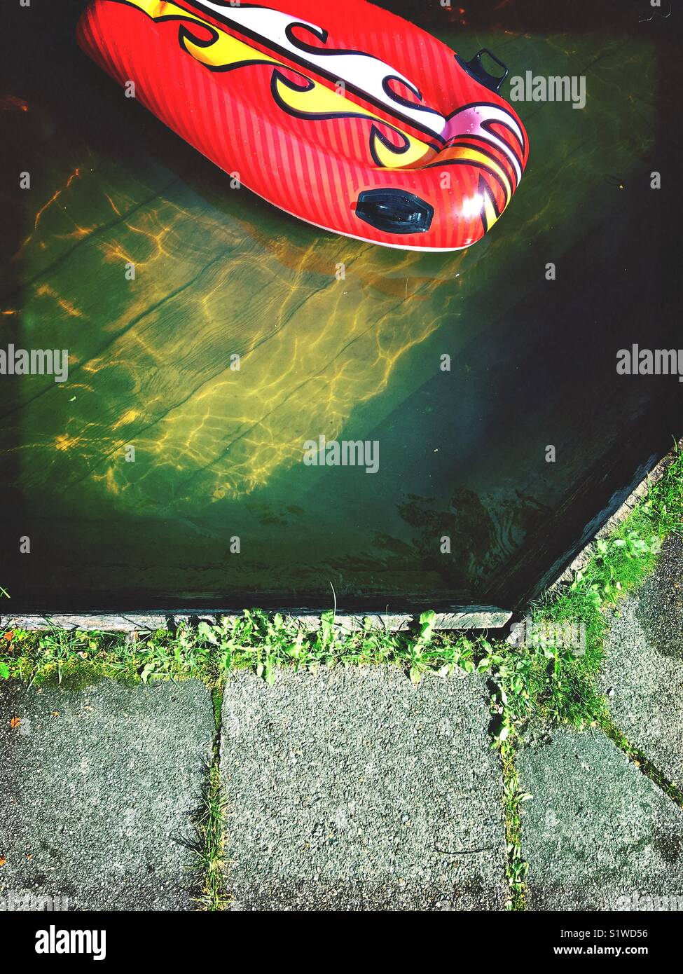 A swimming toy in a Natural outdoor swimming pool - Smartphone Captured Stock Image