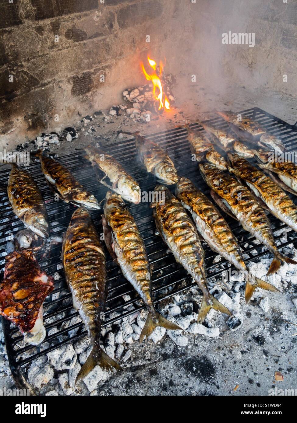 Mackerel fish on the grill Stock Photo