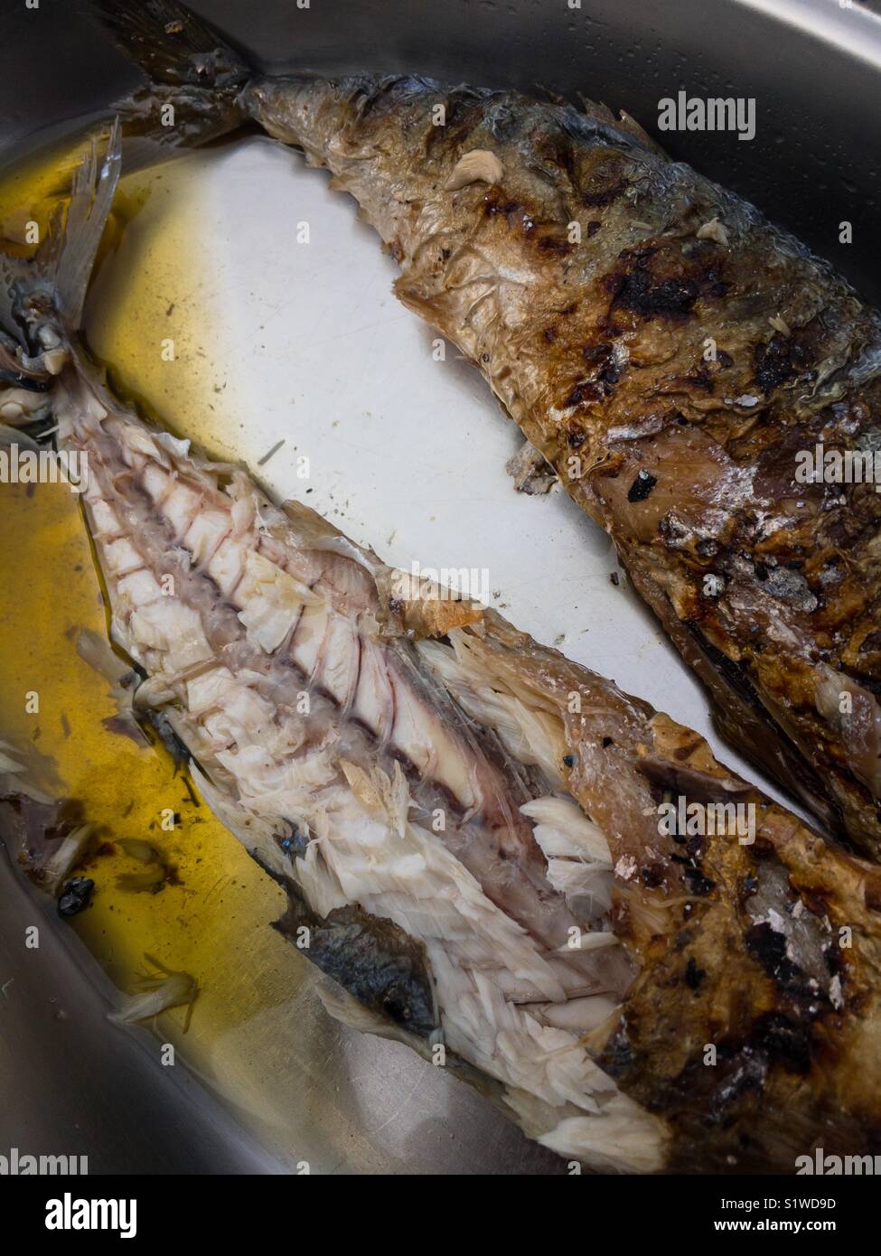 Grilled mackerel fish with olive oil on plate Stock Photo