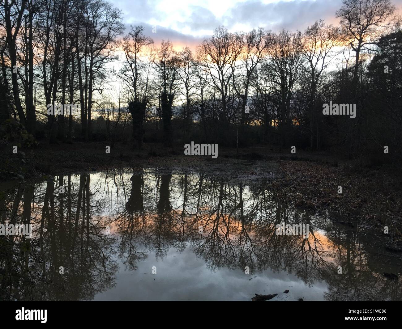 Chipperfield hertfordshire hires stock photography and images Alamy