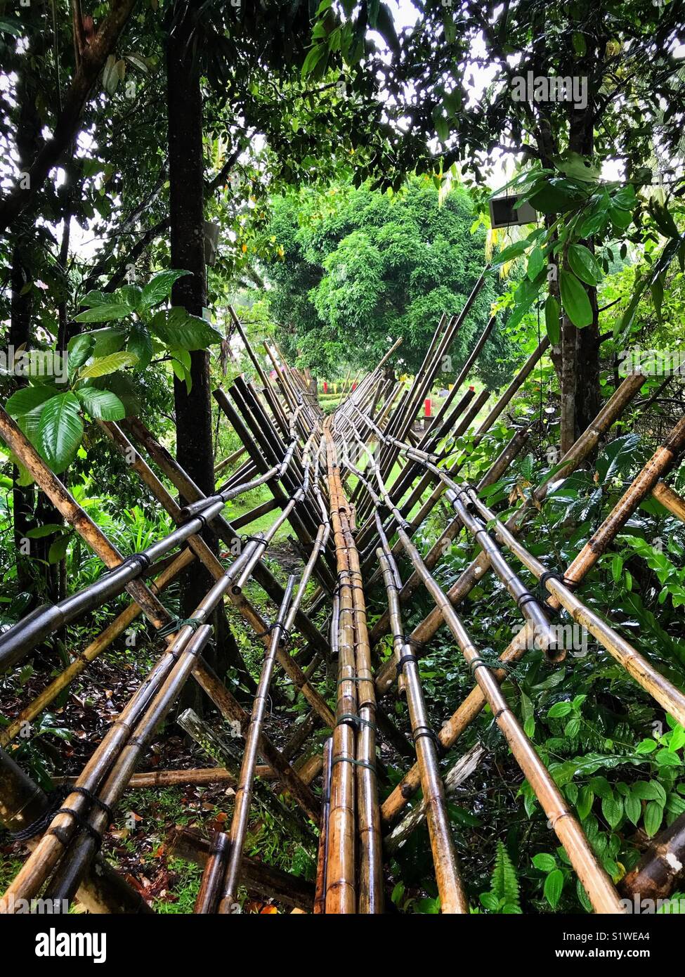 Traditional bamboo bridge in Sarawak, Malaysia Stock Photo Alamy