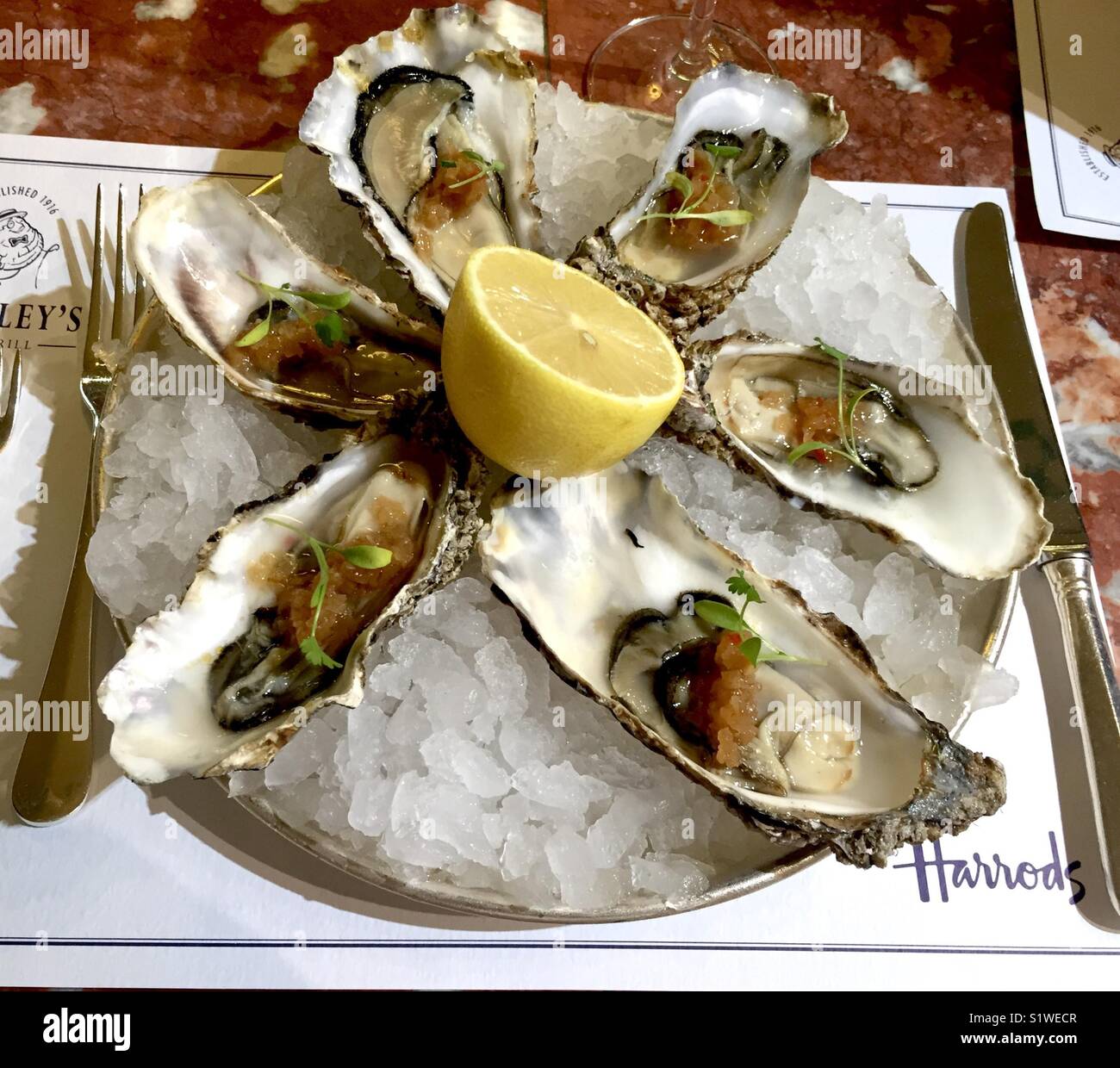 Oysters at Harrods Stock Photo