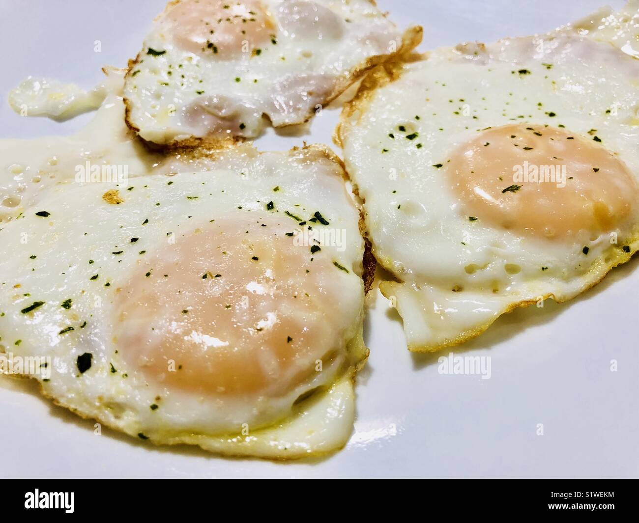 https://c8.alamy.com/comp/S1WEKM/sunny-side-up-eggs-S1WEKM.jpg