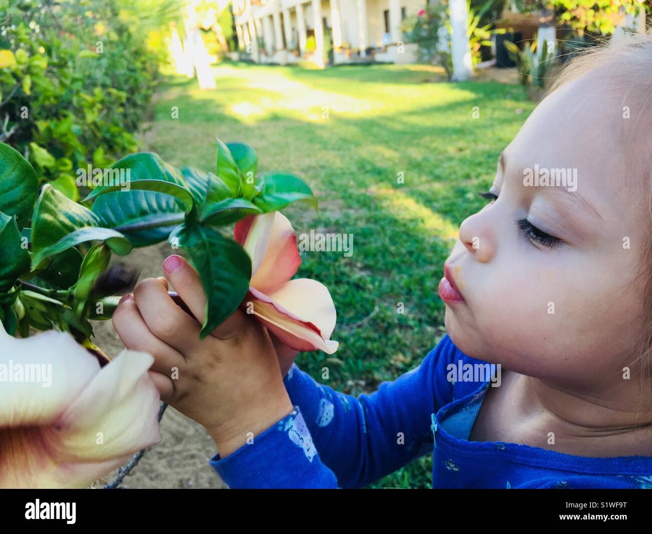 Take time to smell the flowers Stock Photo Alamy