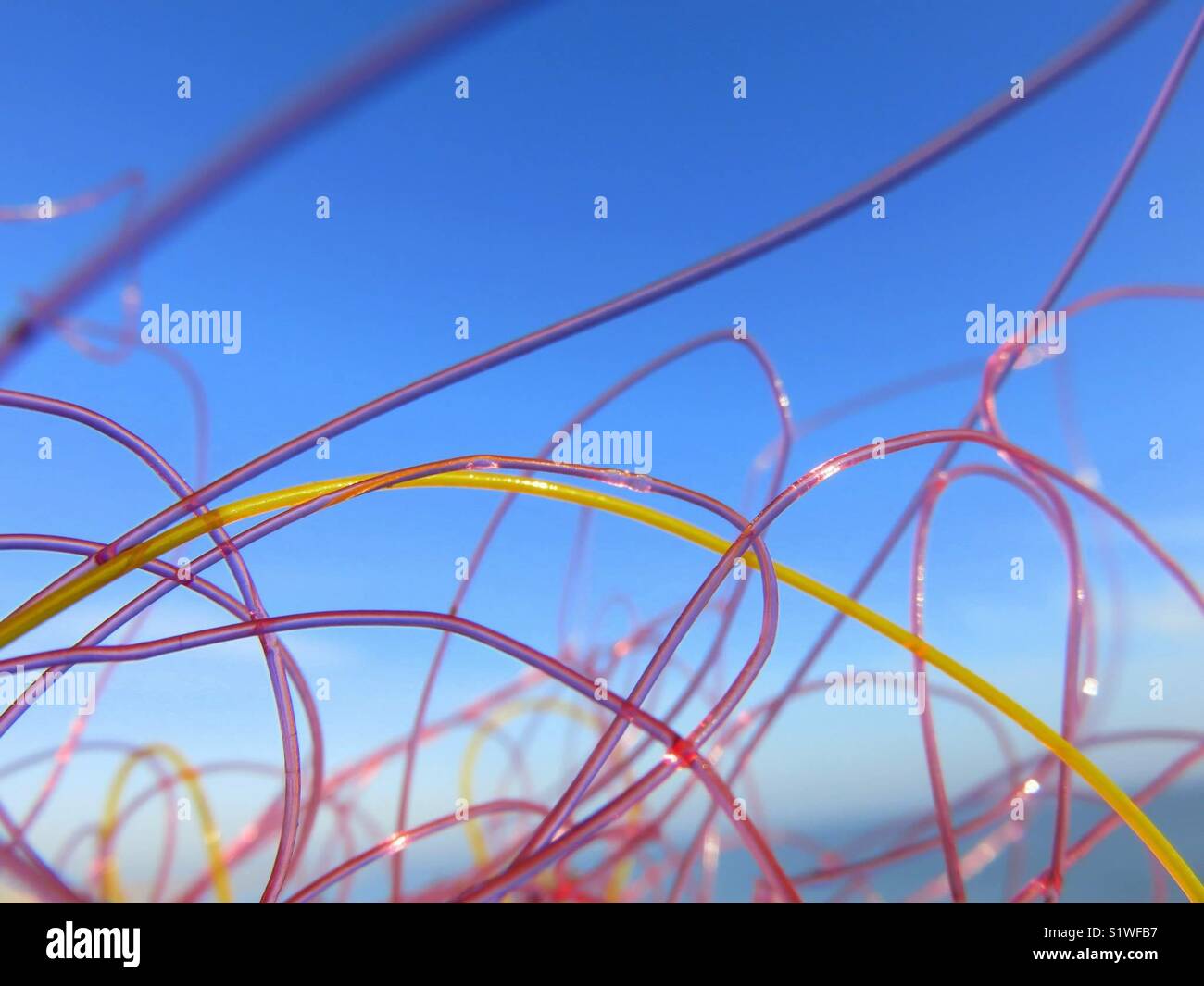 Tangled fishing line on beach - Smartphone Captured Stock Image