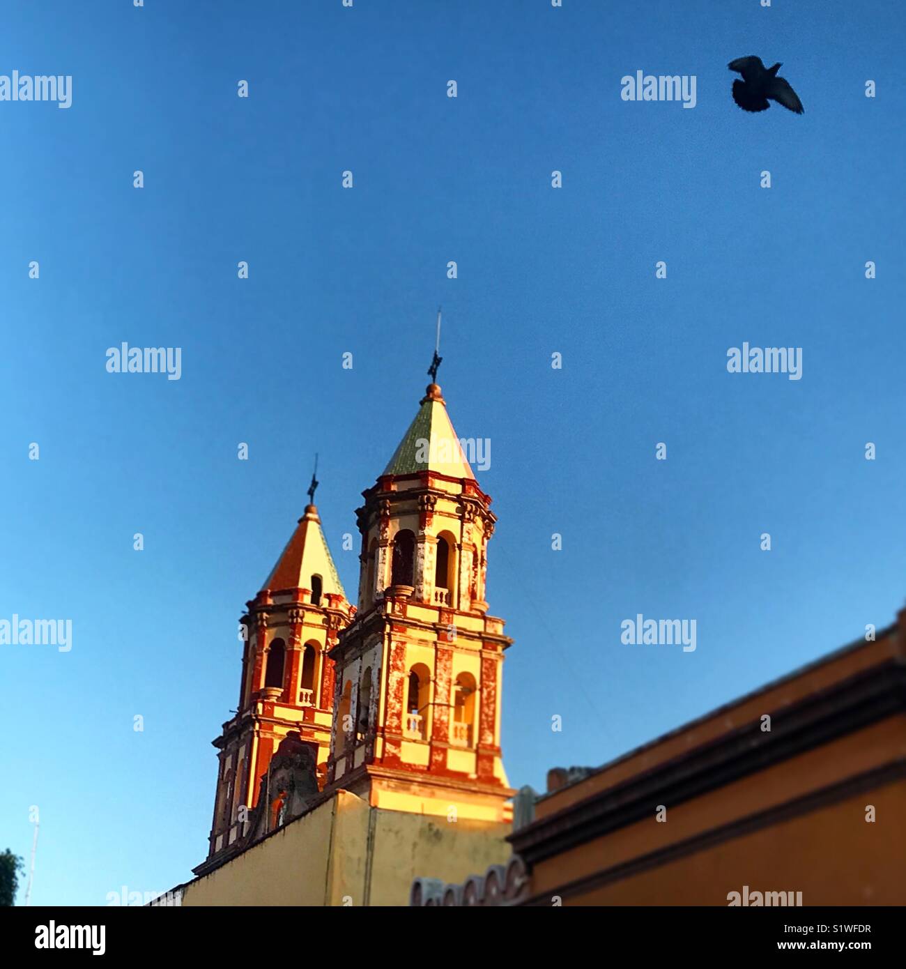 A dove flies by a church in Queretaro, Mexico Stock Photo Alamy