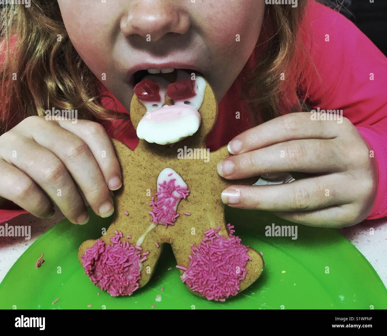 Young girl with long hair eating gingerbread man cookie. Festive moment as kid eats yummy cookie. Stock Photo