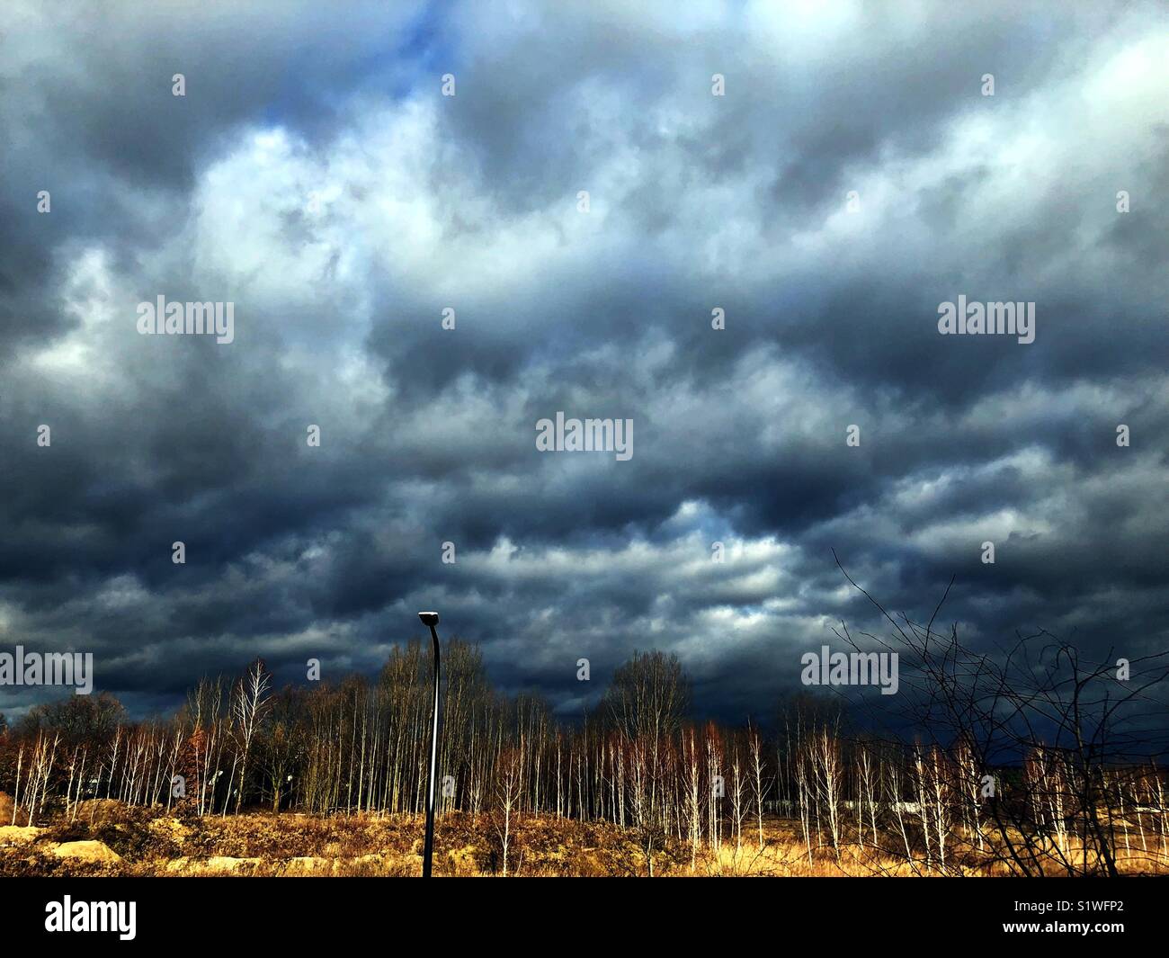 Dark cloudy sky at the edge of the forest Stock Photo