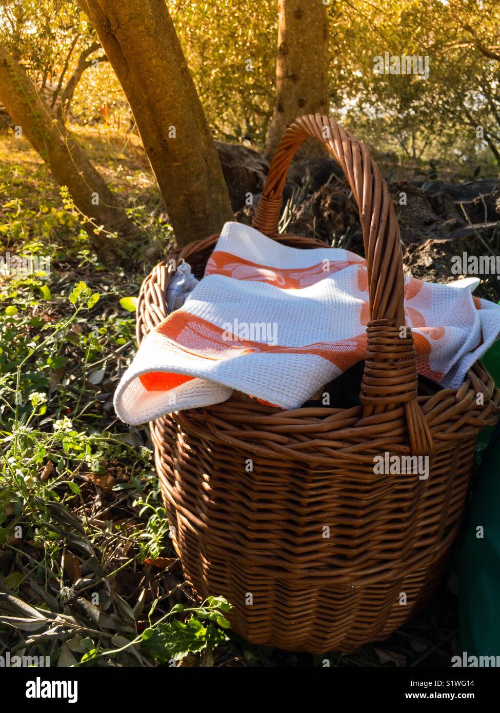 Picnic basket in nature on sunny day Stock Photo