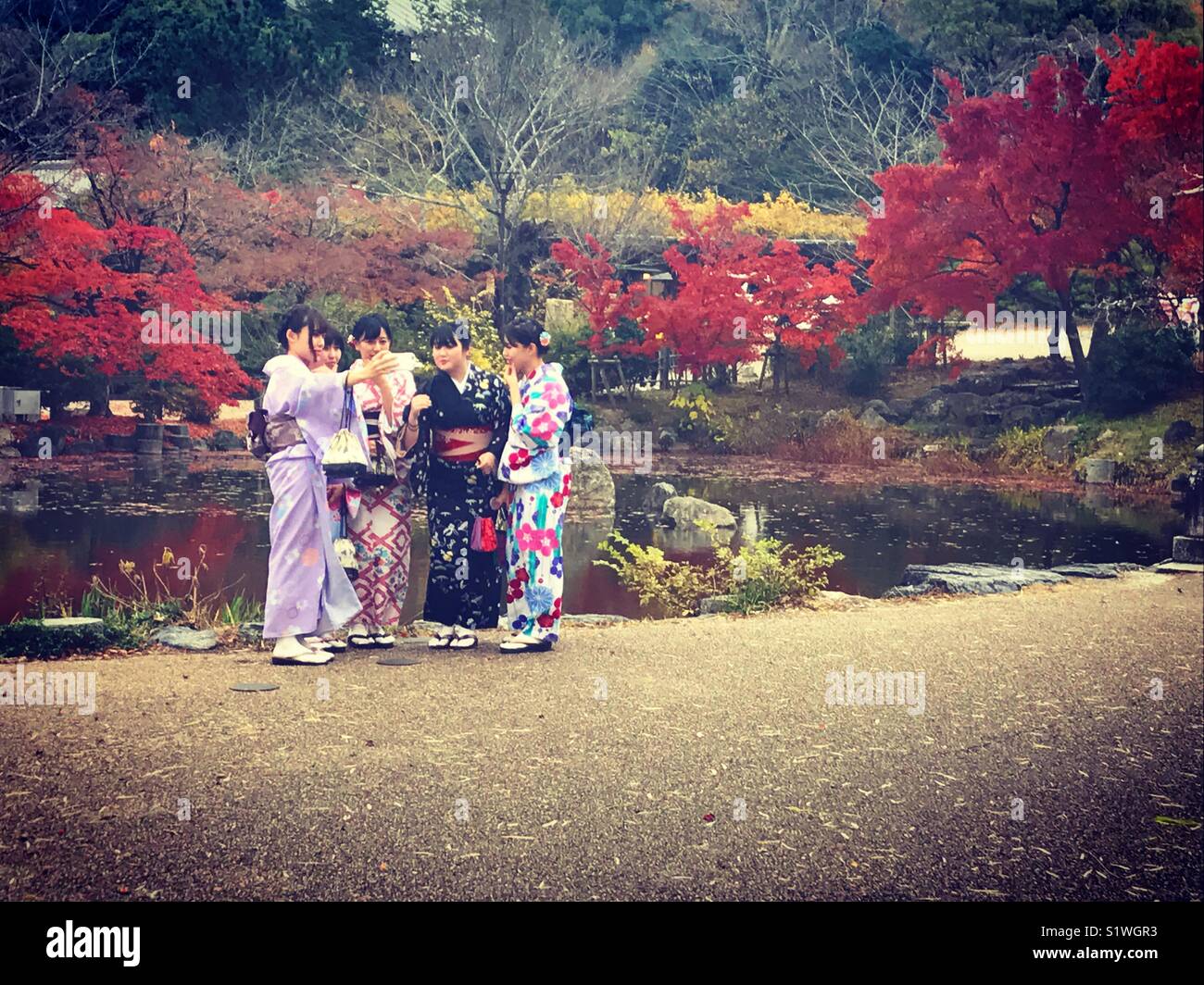 Japanese Girls dressed in traditional kimonos taking selfies in Japanese Garden in Autumn Stock Photo