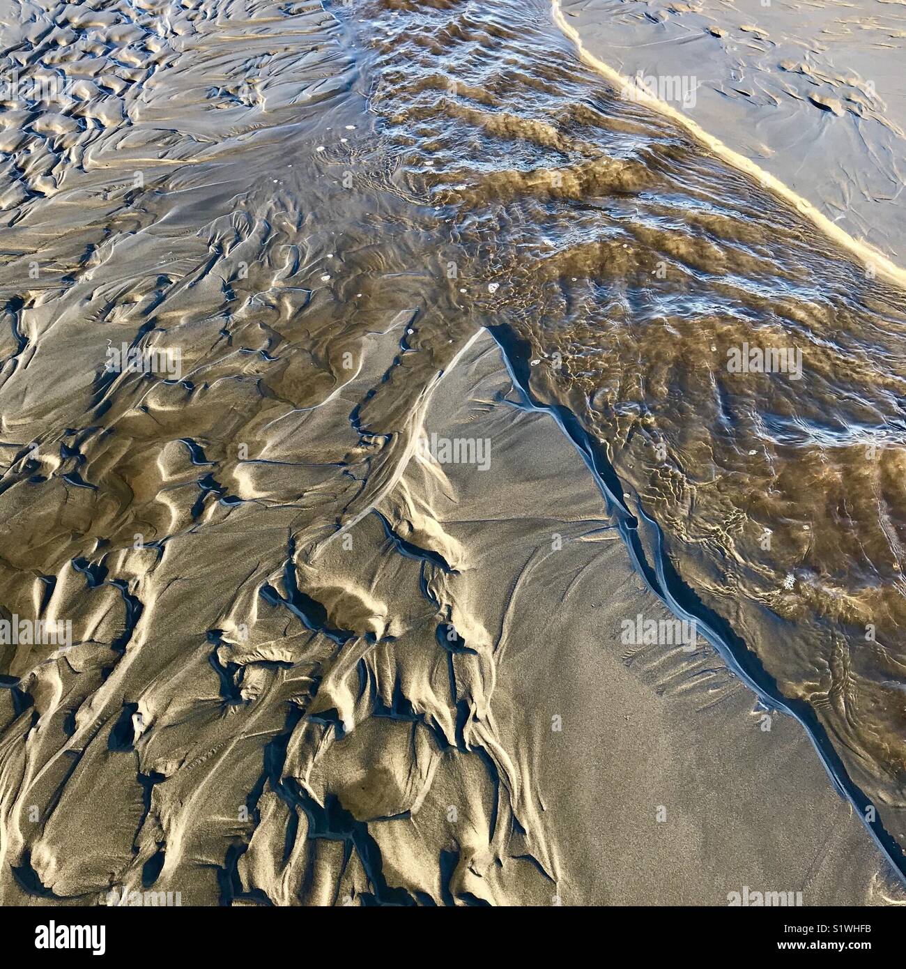 Stream and sand, beach patterns, Oregon Coast Stock Photo
