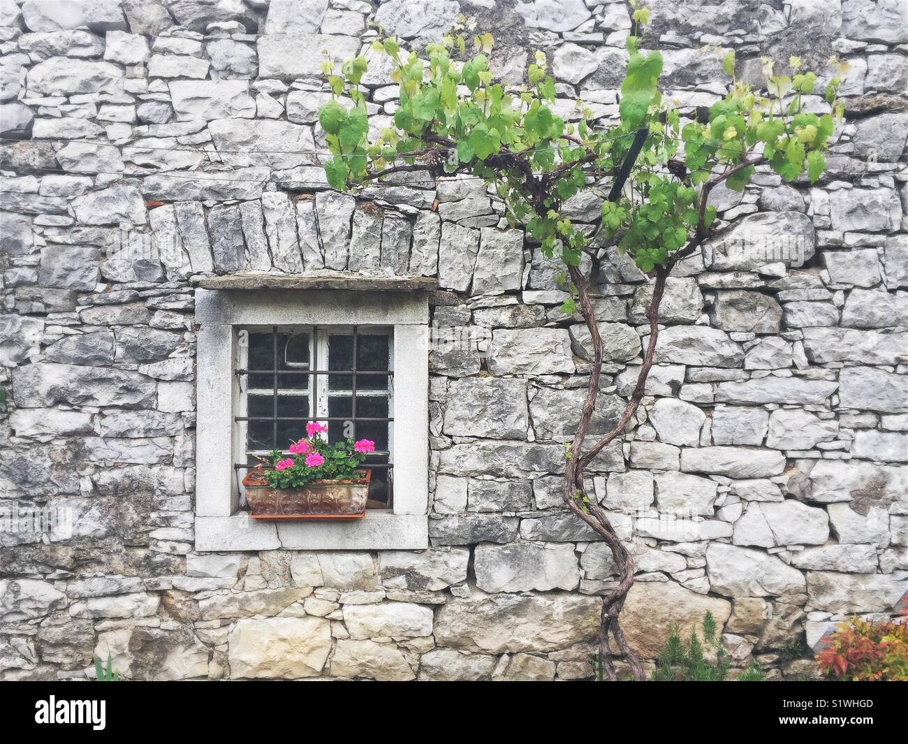 Detail of typical Karst stone house, Slovenia - Smartphone Captured Stock Image