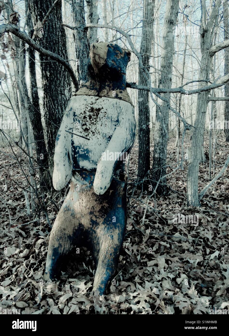 Gray photo of bear decoy in North Carolina woods - Smartphone Captured Stock Image