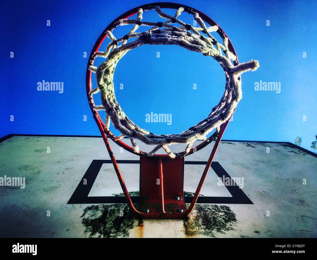 ring of the basketball - Smartphone Captured Stock Image