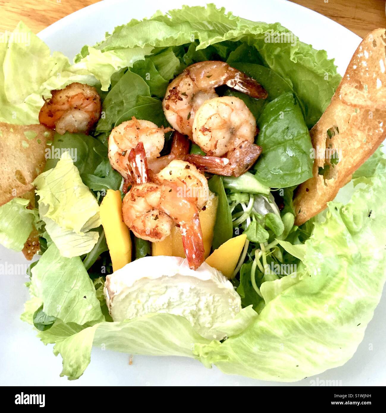 Shrimp salad with goat cheese Stock Photo Alamy