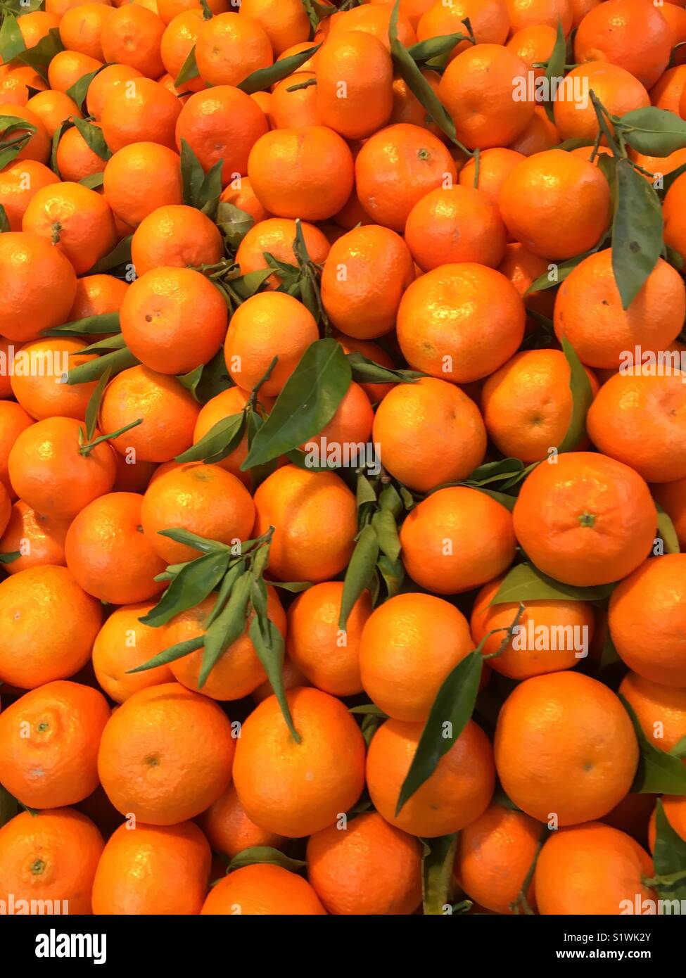 Orange the fruit Stock Photo