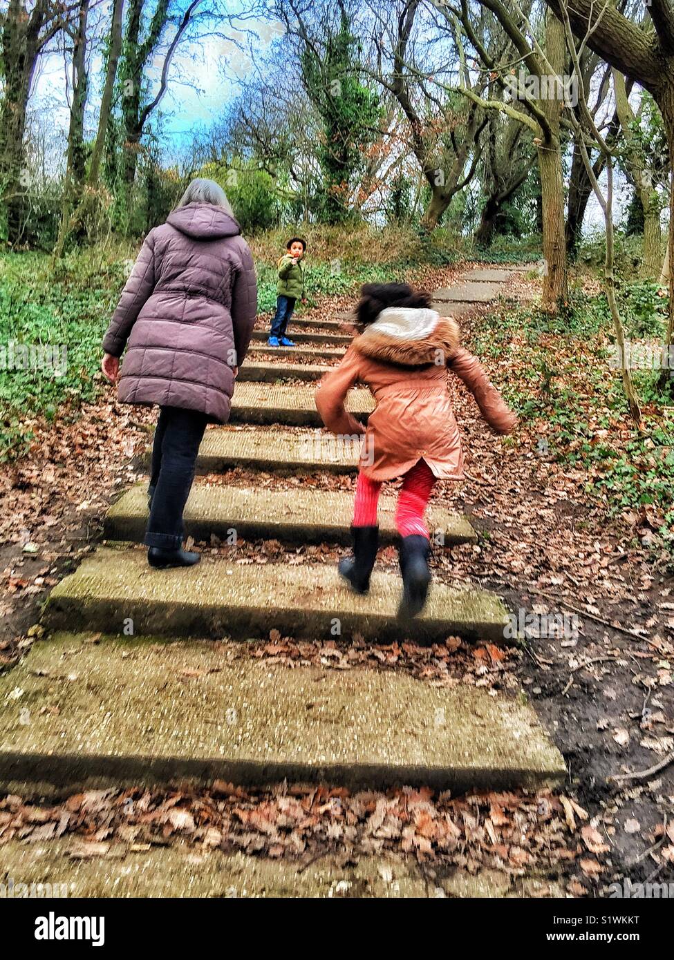 Walking in the woods with Nanny. - Smartphone Captured Stock Image