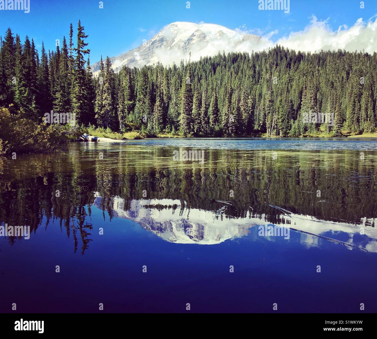 Natures mirror hi-res stock photography and images - Alamy