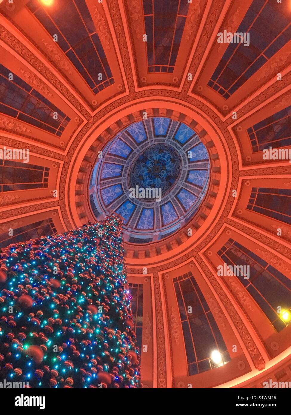 Christmas tree the dome edinburgh hires stock photography and images