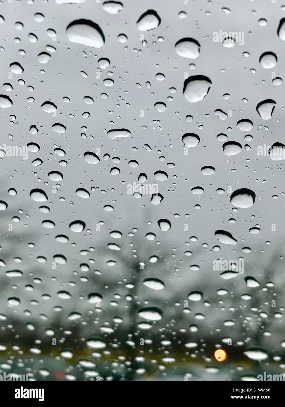 Water droplets in a windshield of the car after rain Stock Photo Alamy