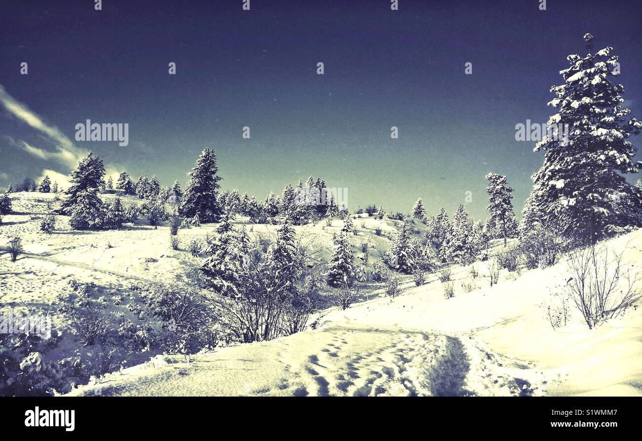 Whimsical snowy winter landscape. Footprints on a snow covered trail leading up a hillside. Stock Photo