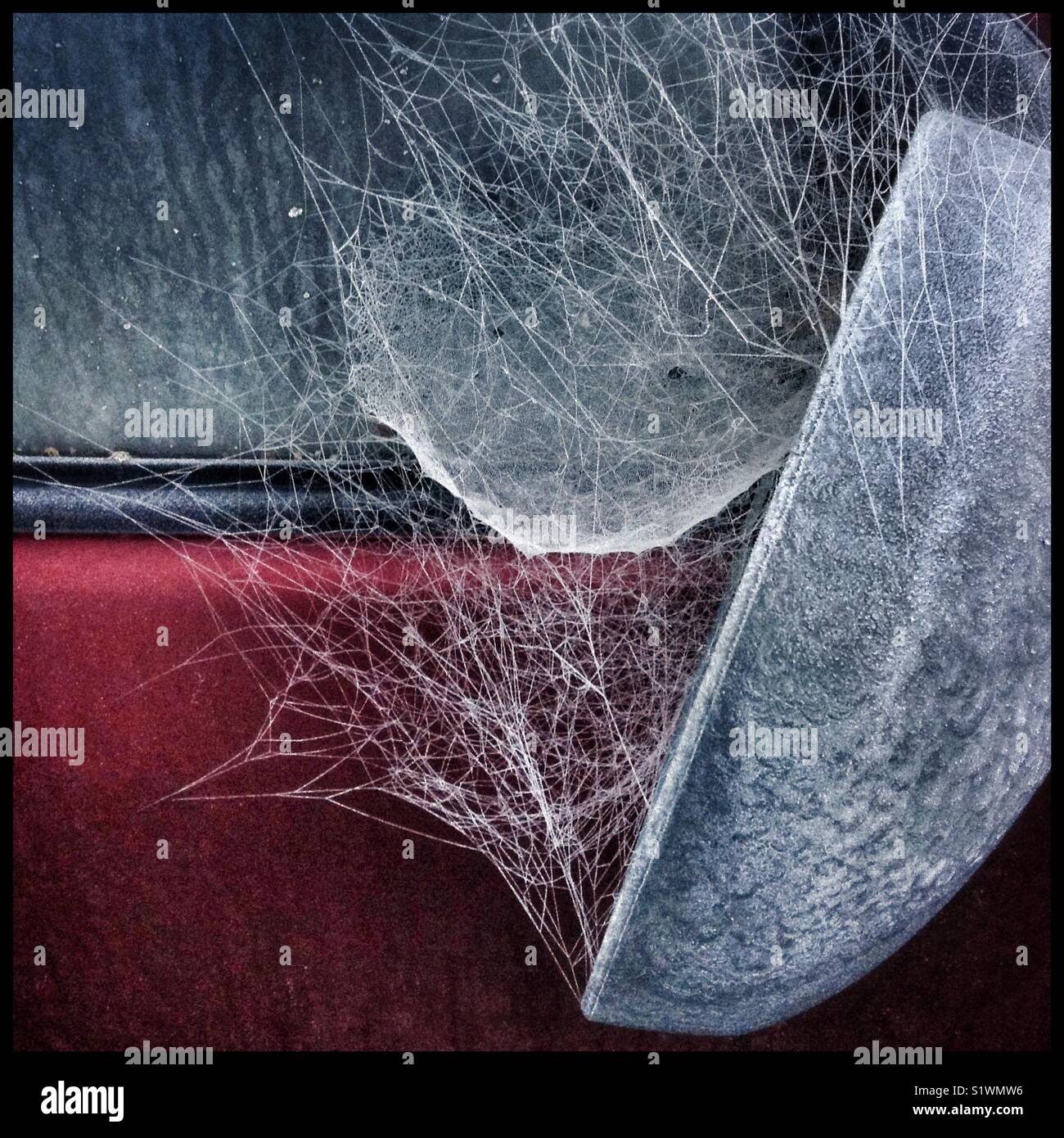 Frost covered spider's web on a car mirror, Catalonia, Spain. - Smartphone Captured Stock Image