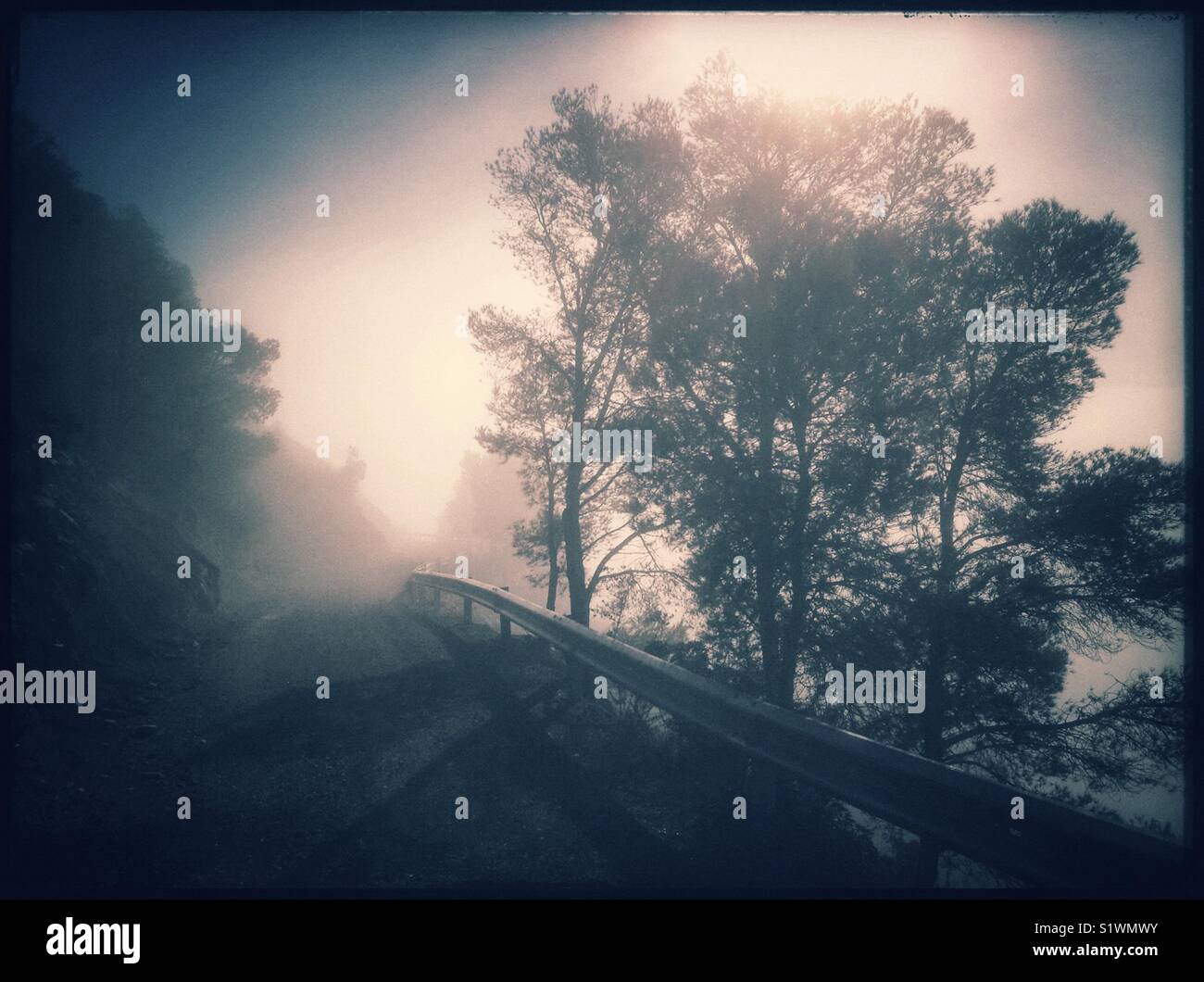 A walk above the freezing fog, Catalonia, Spain. - Smartphone Captured Stock Image