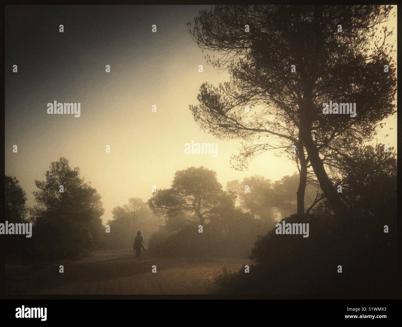 A walk above the freezing fog, Catalonia, Spain. - Smartphone Captured Stock Image