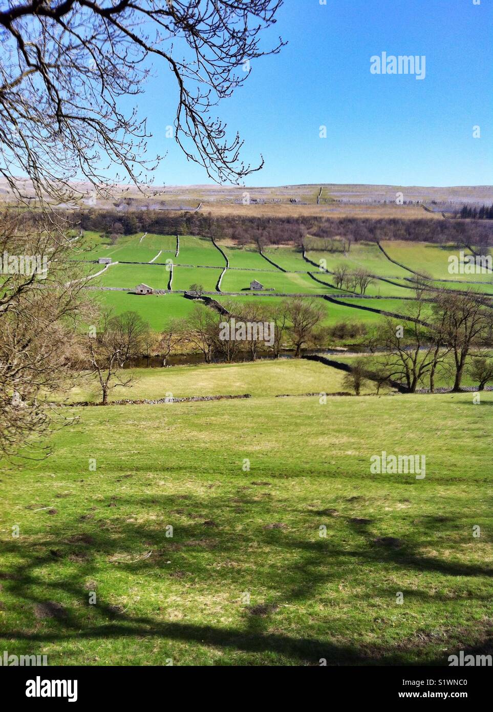 Landscape of the Yorkshire Dales near Skipton, North Yorkshire, England UK Stock Photo