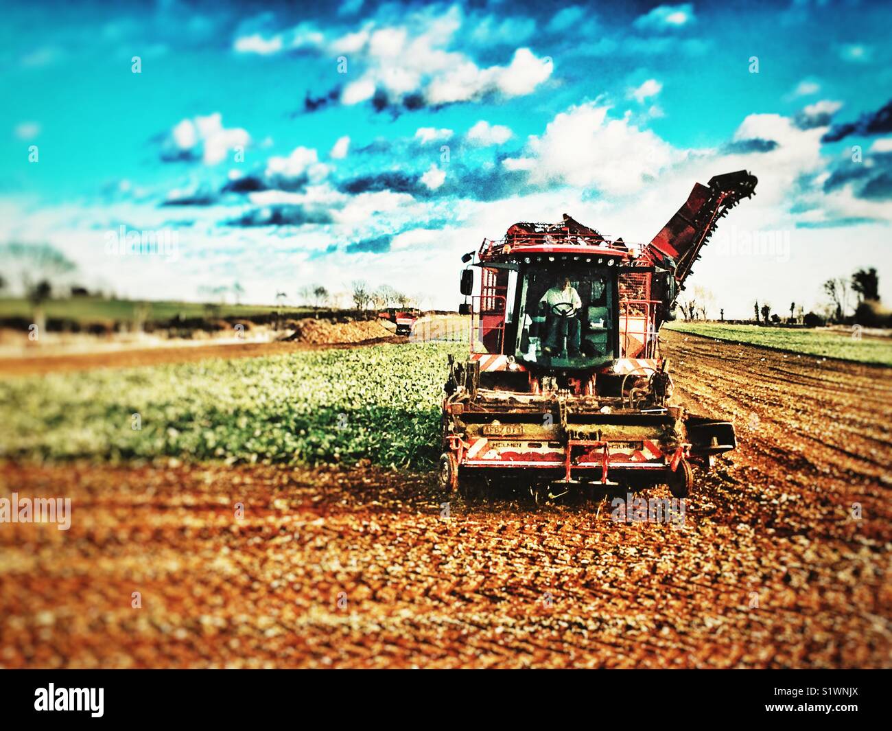 Sugar beet Harvester - Smartphone Captured Stock Image