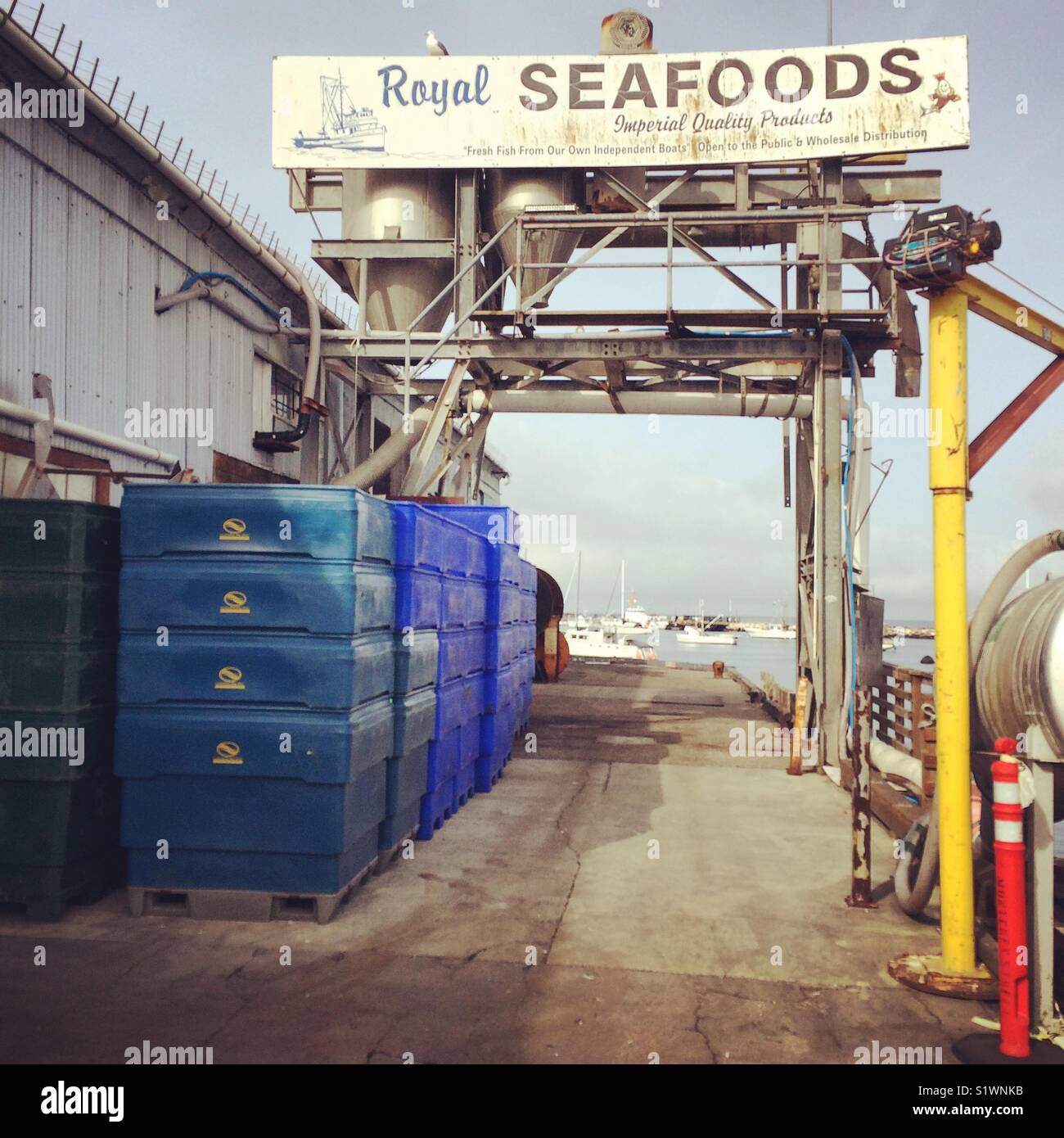 Royal Seafoods, Monterey Municipal Wharf 2, Monterey, California - Smartphone Captured Stock Image