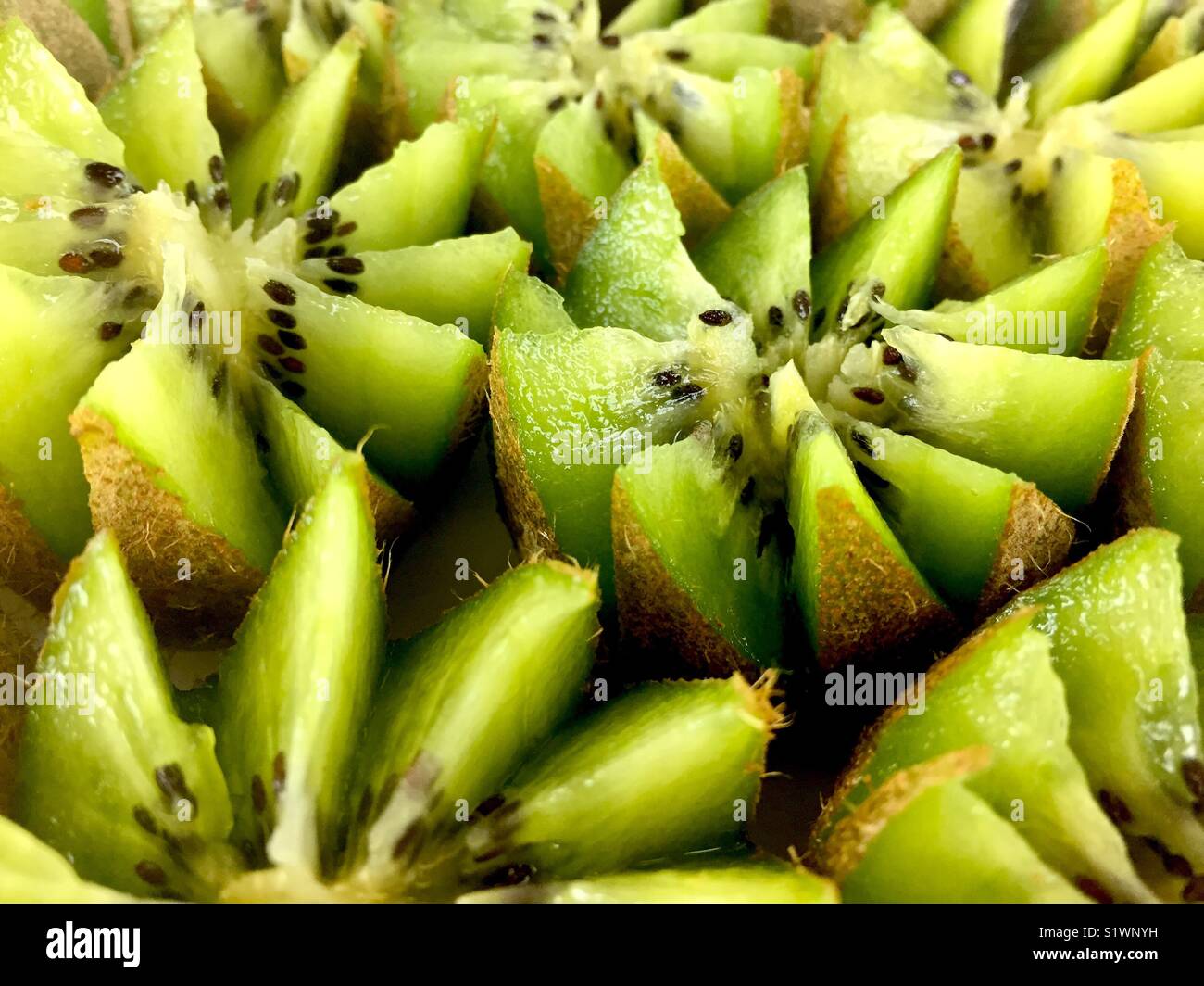 Kiwis cut into flower shapes - Smartphone Captured Stock Image